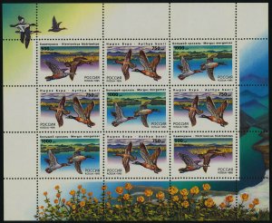 Russia 6286a MNH Ducks