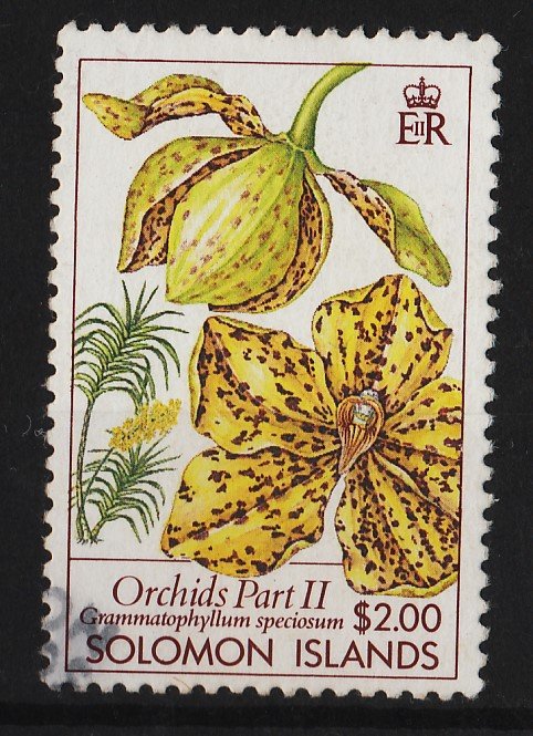 Solomon Islands 1989 Orchids 2$ (1/4) USED