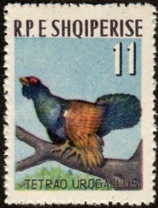 Albania 675 - Mint-NH - 11L Capercaillie (1963) (cv $11.40)