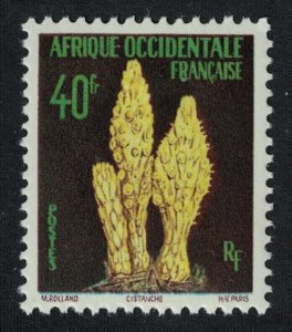 French West Africa Cistanche holoparasitic desert plant 40f 1958 MNH SC#82