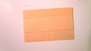 NATAL POSTAL WRAPPER MINT ENTIRE