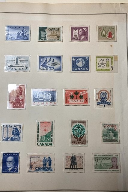 W.W. STAMPS ON STOCK PAGES LOTS OF MINT