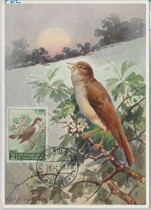 52655 - SAN MARINO - MAXIMUM CARD - ANIMALS BIRDS 1960-