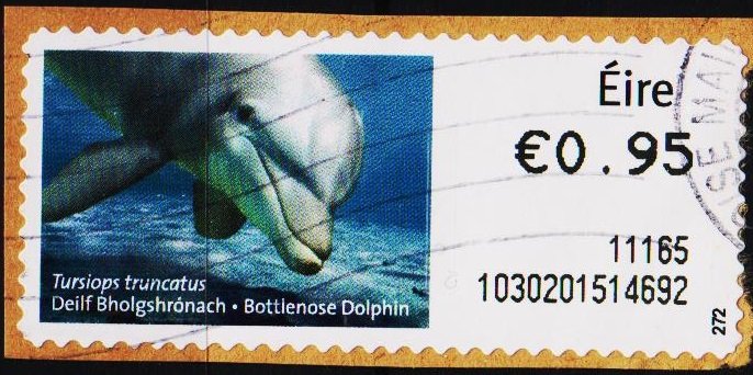 Ireland. 2010? 95p Machine Label. Fine Used