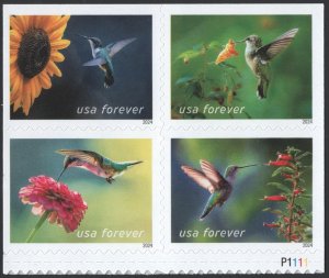 NEW ISSUE (Forever) Garden Delights Booklet Block of Four (2024) SA