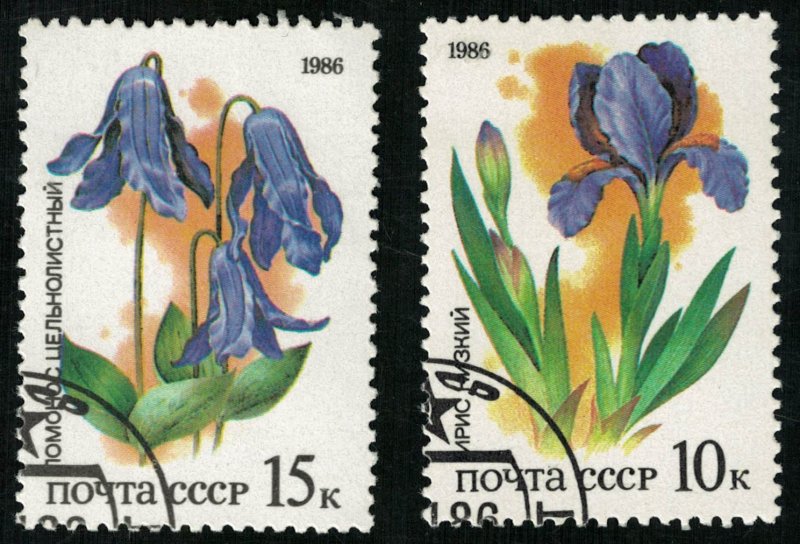 Flowers, (4261-T)