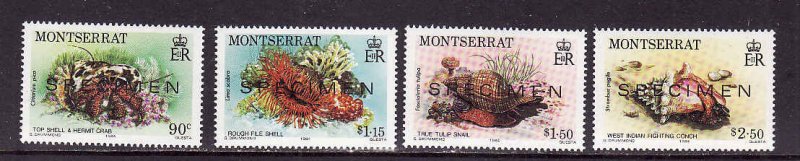 Montserrat-Scott#543-6-Unused NH-Marine Life-1984-Specime