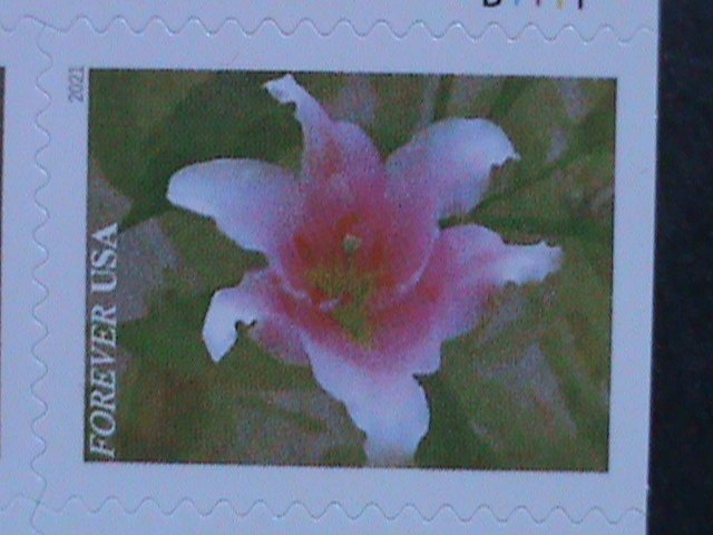 ​UNITED STATES- GARDEN BEAUTY-LOVELY FLOWERS-FOREVER MNH BOOKLET VERY FINE