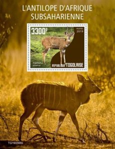 Togo - 2019 Sub-Saharan African Antelope - Stamp Souvenir Sheet - TG190566b