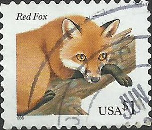 # 3036a USED RED FOX