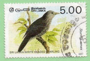 Sri Lanka  Scott  838  Used