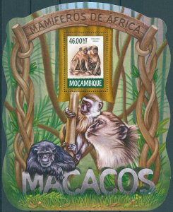 Mozambique 2015 MNH Wild Animals Stamps Monkeys Green Monkey 1v S/S III