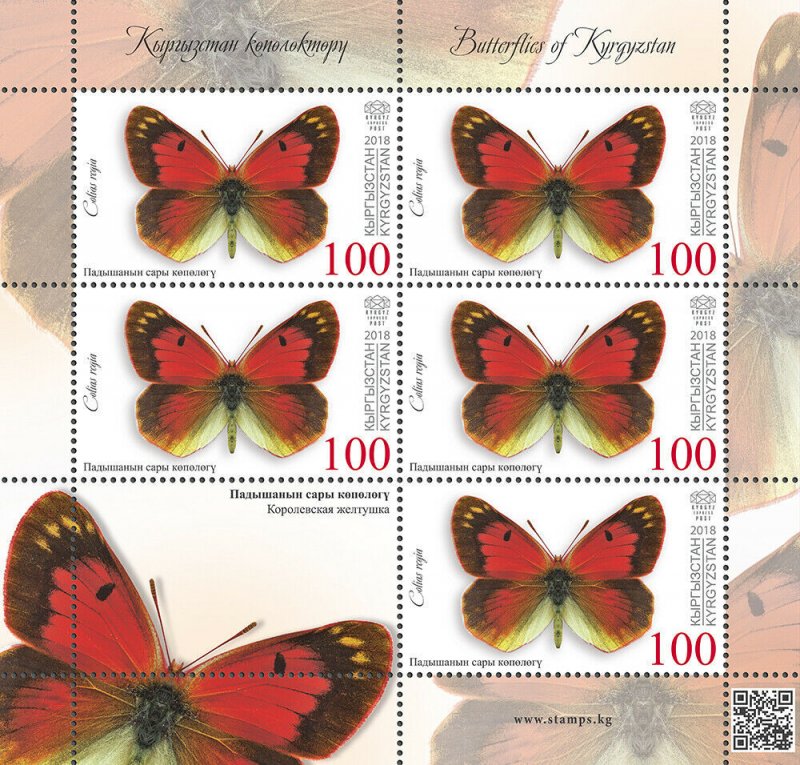 Stamps of Kyrgyzstan 2018 - Butterflies of Kyrgyzstan.Minisheet. 104L. Colias re