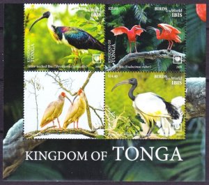 2020 Tonga 2343-2346VB+Tab Birds 78,00 €