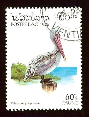 Laos 1261 60k Pelican bird cto nh