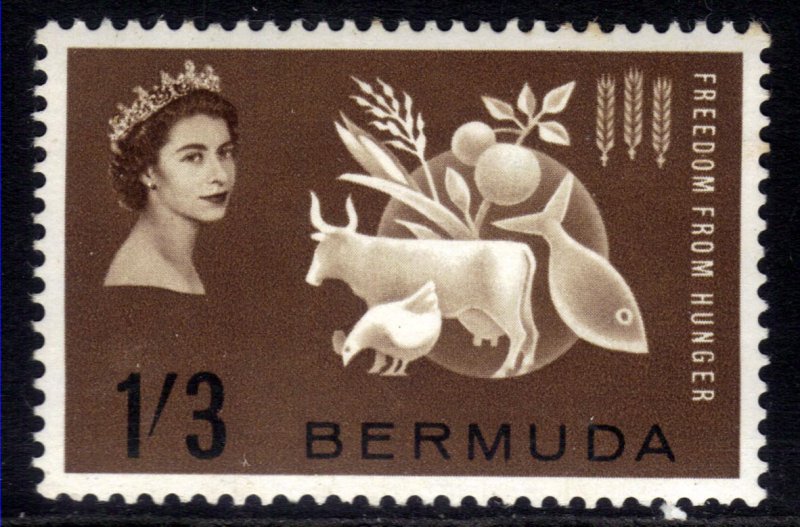 Bermuda 1963 QE2 1/-3d Freedom From Hunger Umm SG 180 ( J470 )