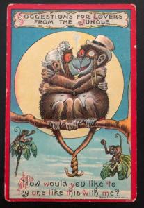 1910 USA Picture Postcard Cover Suggestions For Loves From The Jungle Monkeys