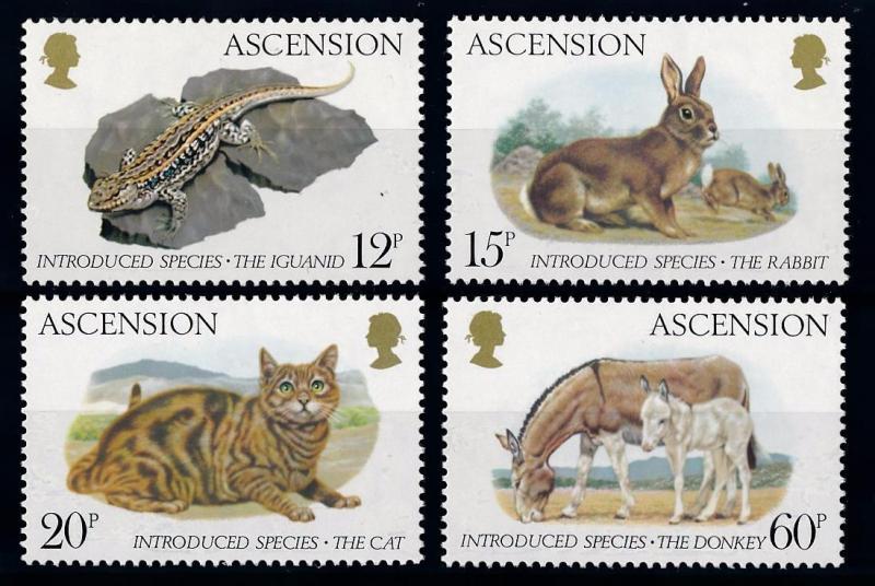 [65561] Ascension 1983 Cat Rabbit Donkey  MLH