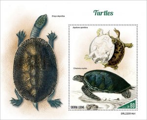 SIERRA LEONE - 2022 - Turtles/Tortoises - Perf Souv Sheet #1 - Mint Never Hinged
