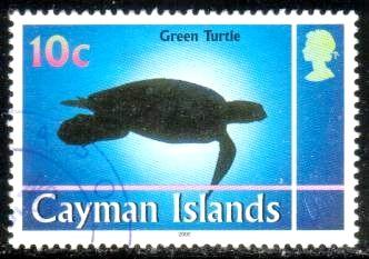 Green Turtle, Marine Life, Cayman Islds stamp SC#802 used