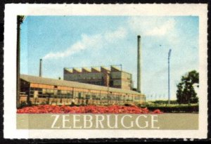 Vintage Belgium Poster Stamp Zeebrugge Port and Seaside Resort MNH