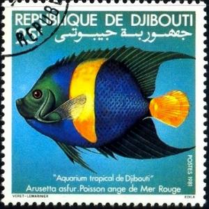 Tropical Fish, Angel Fish, Djibouti stamp SC#521 used