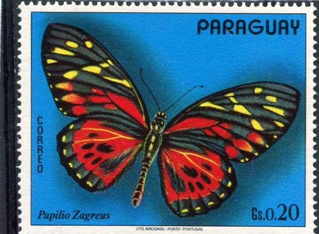 Paraguay 1973 BUTTERFLIES 1 value Perforated Mint (NH)