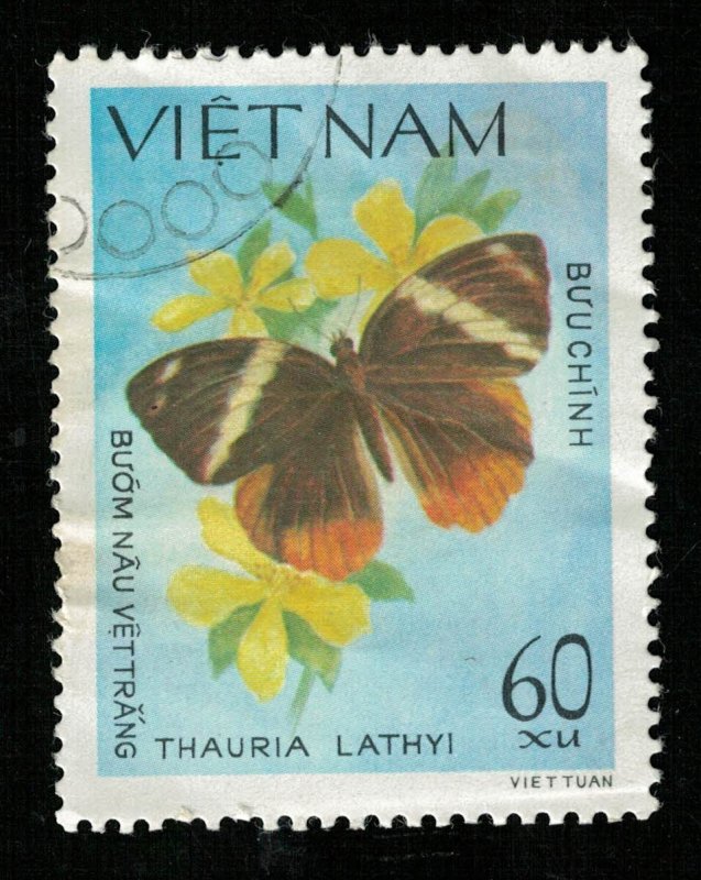 Butterfly (RT-2031)