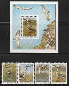 1991 South Africa - Transkei - Sc 255-258a - MNH VF - 4 singles & 1 MS - Birds