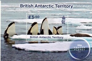 BAT - Postfris/MNH - Sheet Polar Animals 2023