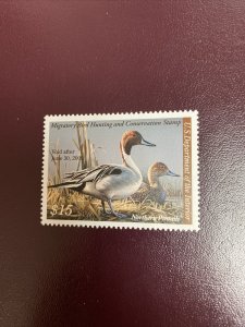 RW75 2008 - US Federal Duck Stamp - Mint OG NH