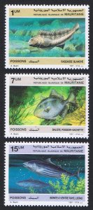 Mauritania Fish 3v 1988 MNH SC#631-633 SG#896-898 MI#920-922