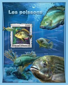 CENTRAFRICAINE 2017 SHEET FISHES MARINE LIFE