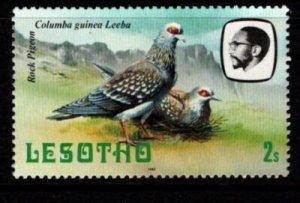 Lesotho - #322 Rock Pigeons - MNH