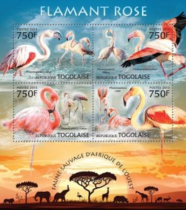 TOGO - 2013 - Red Flamingos - Perf 4v Sheet - Mint Never Hinged