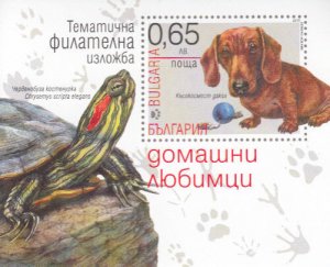 Bulgaria MNH 2015 Dog Turtle Special  Souvenir Sheet  Rare Only a few Issued