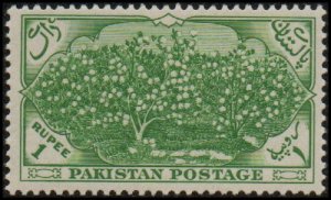 Pakistan 71 - Mint-H - 1r Cotton Field (1954) (cv $16.40)