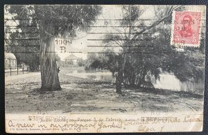 1909 Buenos Aires Argentina RPPC Postcard cover to Sacramento Ca USA zoo Garden