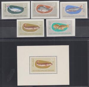 Viet Nam Dem Rep Sc 263-267a NGAI. 1963 Fish, imperf set cplt + perf Souv Sheet