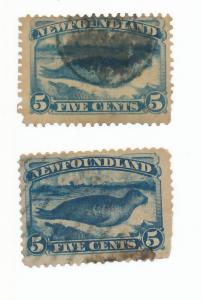 Newfoundland 1890 - Scott 53 & 54 used - Harp seal issues