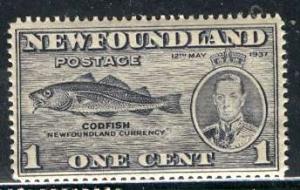 Newfoundland; 1937: Sc. # 233: **/MNH Single Stamp