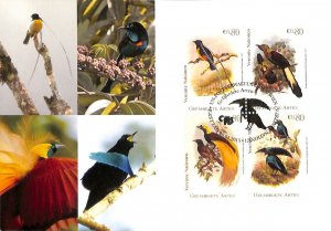 United Nations UN endangered species maximum card no. 118 paradise birds