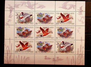 RUSSIA Sc 5785a NH MINISHEET OF 1989 - BIRDS - DUCKS