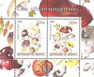 Djibouti 2009 Champignons Plants Mushrooms Fungi Nature M/S Stamps MNH (2)