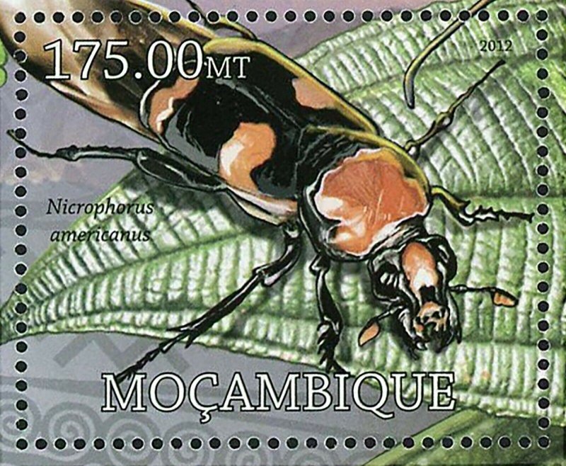 Cockroaches Stamp Nicrophorus Americanus Elaphrus Viridis S/S MNH #5753 / Bl.628