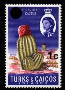 Turks & Caicos Islands # 182 MNH