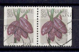 Suriname - 1978 - Zon. 144AL and 144AR - Used - L2254