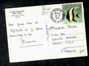 DJIBOUTI COVER (PP1009B)  1968 55F FISH ON PPC TO FRANCE 