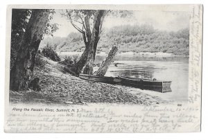 Along the Passaic River, Summit, New Jersey Undivided Back Postcard Mailed 1906