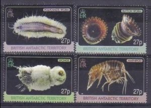 2010 British Antarctic Territory 515-518 Sea fauna​​​​​​​